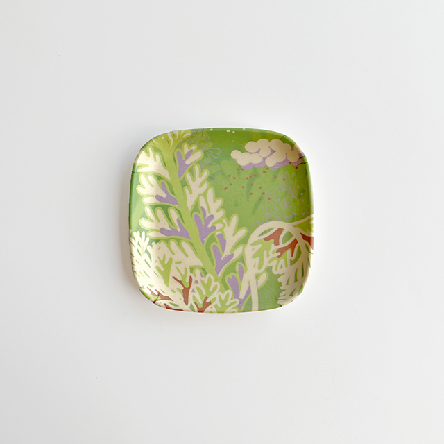 FERN ONLY 只有蕨 蕨景環保小碟4.0(長生鐵角蕨)