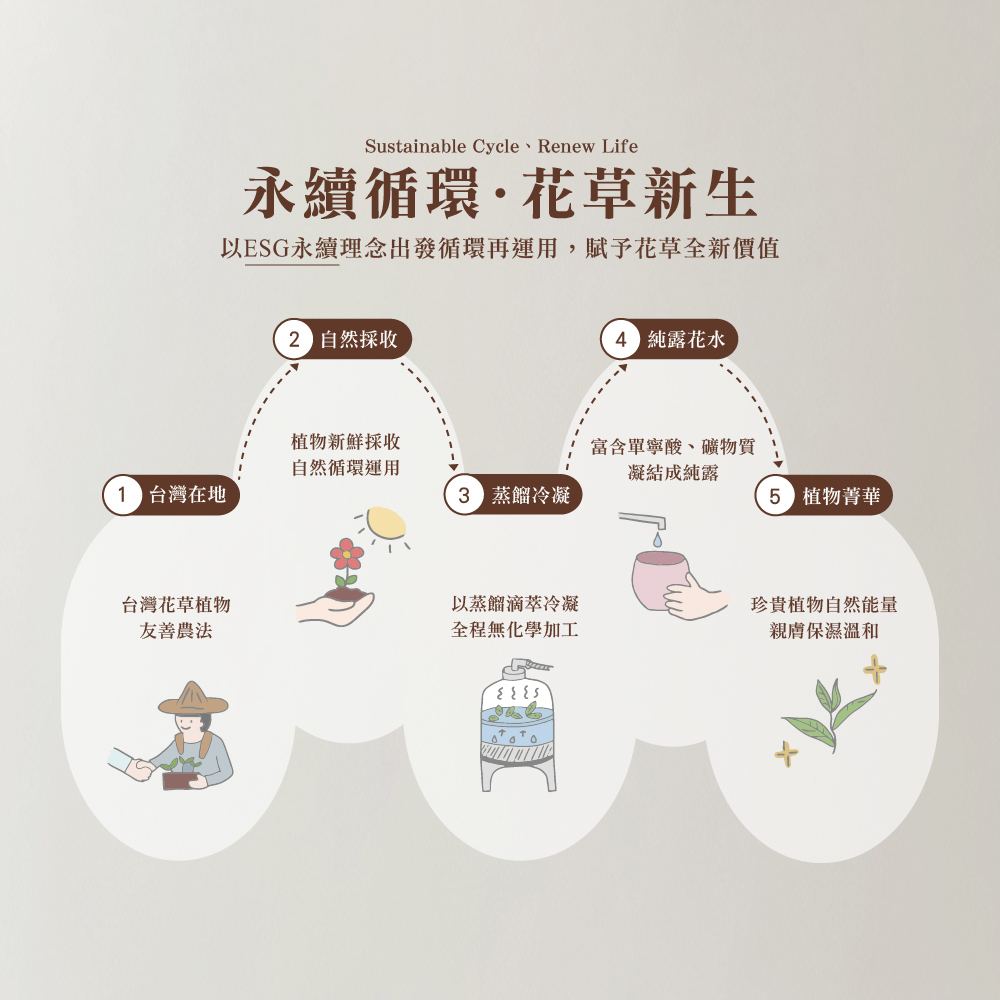 茶寶 Teapower 潤覺茶 茶籽純露護手霜 50ml 3入組 /【紅玉伯爵】+【四季春露】+【金萱烏龍】(無)