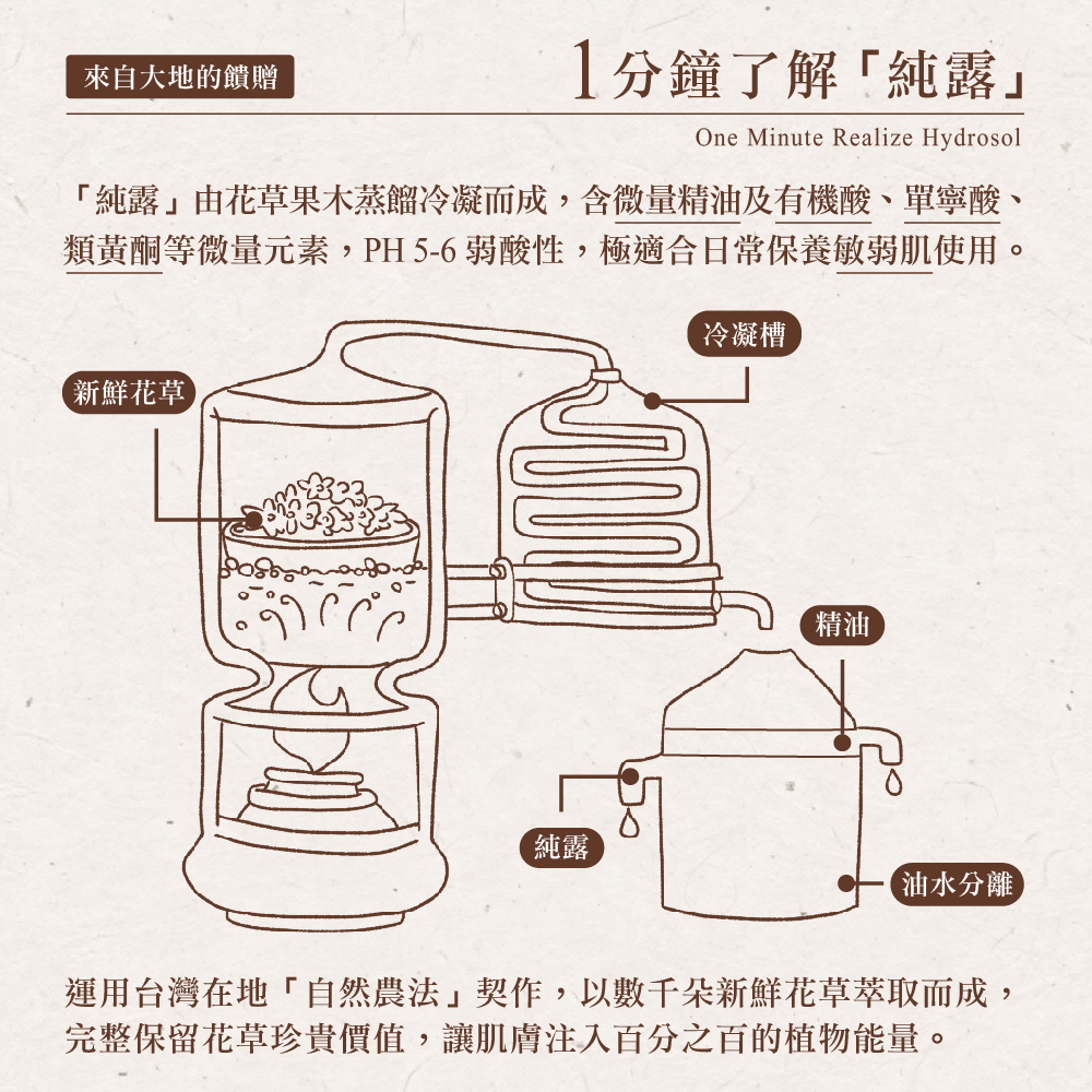 茶寶 Teapower 潤覺茶 茶籽純露護手霜 50ml 3入組 /【紅玉伯爵】+【四季春露】+【金萱烏龍】(無)