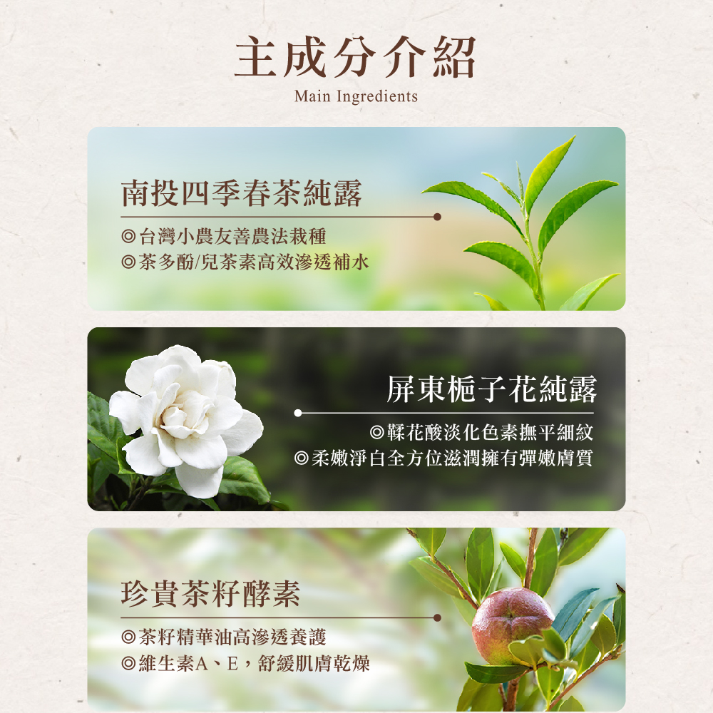茶寶 Teapower 潤覺茶 茶籽純露護手霜 50ml 3入組 /【紅玉伯爵】+【四季春露】+【金萱烏龍】(無)