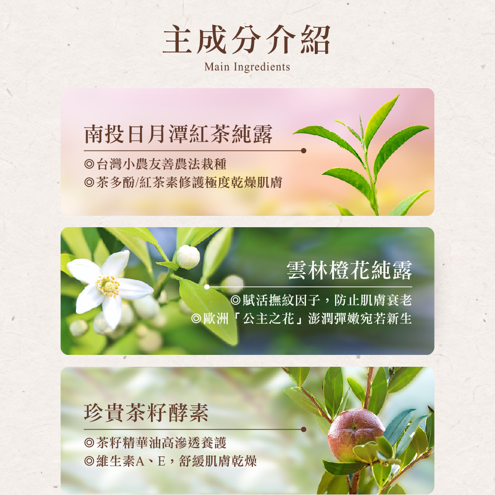 茶寶 Teapower 潤覺茶 茶籽純露護手霜 50ml 3入組 /【紅玉伯爵】+【四季春露】+【金萱烏龍】(無)