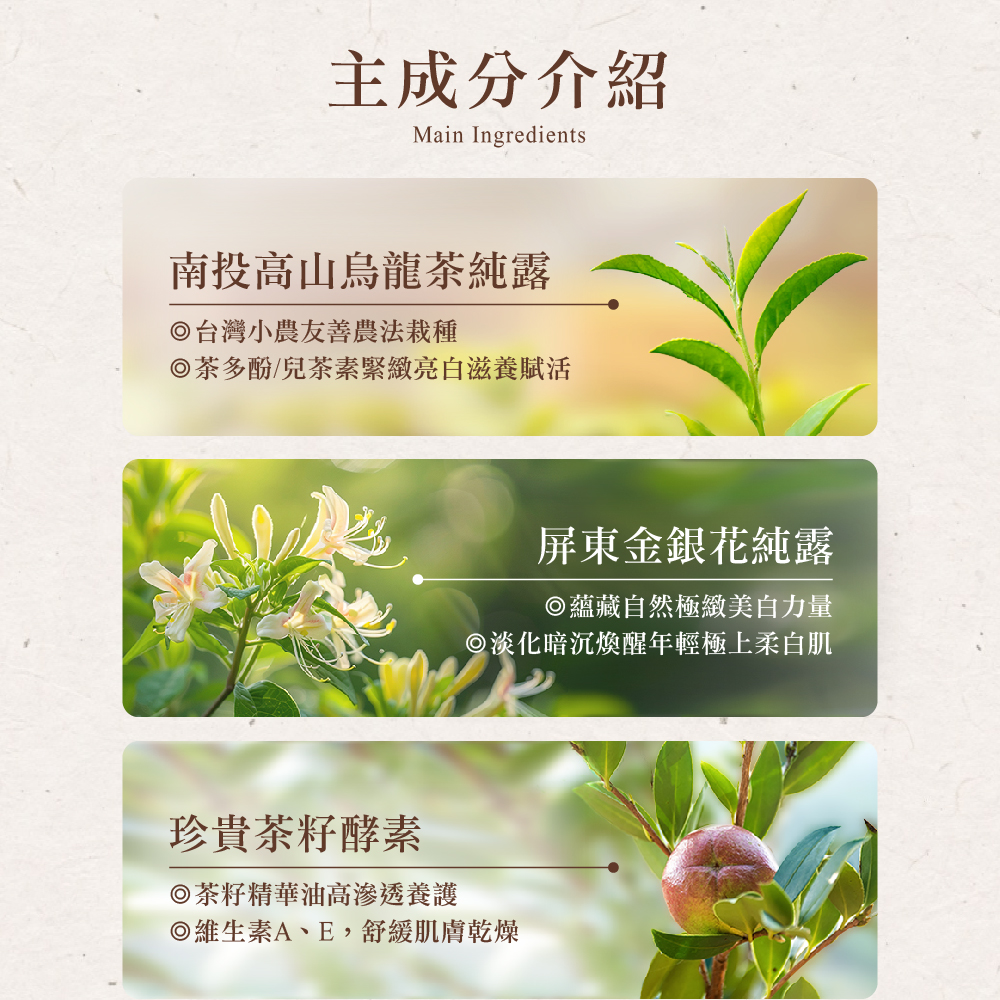 茶寶 Teapower 潤覺茶 茶籽純露護手霜 50ml 3入組 /【紅玉伯爵】+【四季春露】+【金萱烏龍】(無)