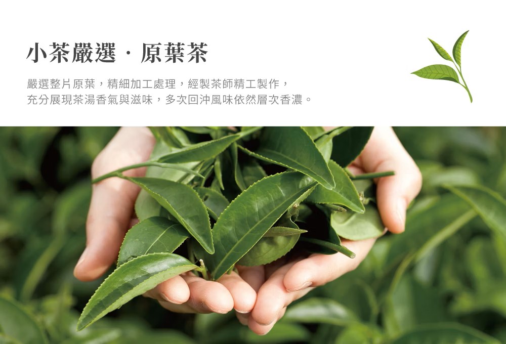 小茶栽堂Zenique｜限量｜韶華禮盒