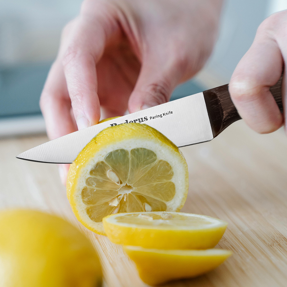 德國 Buderus 原生態系列/ 磁吸廚刀六件組-年輪款