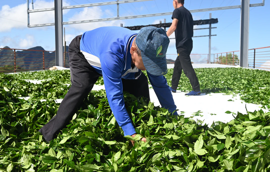 職人嚴選
嚴選台灣本土美好的茶園，乘載著老茶師傅的匠人精神，只為了讓你們喝到每一口純粹。