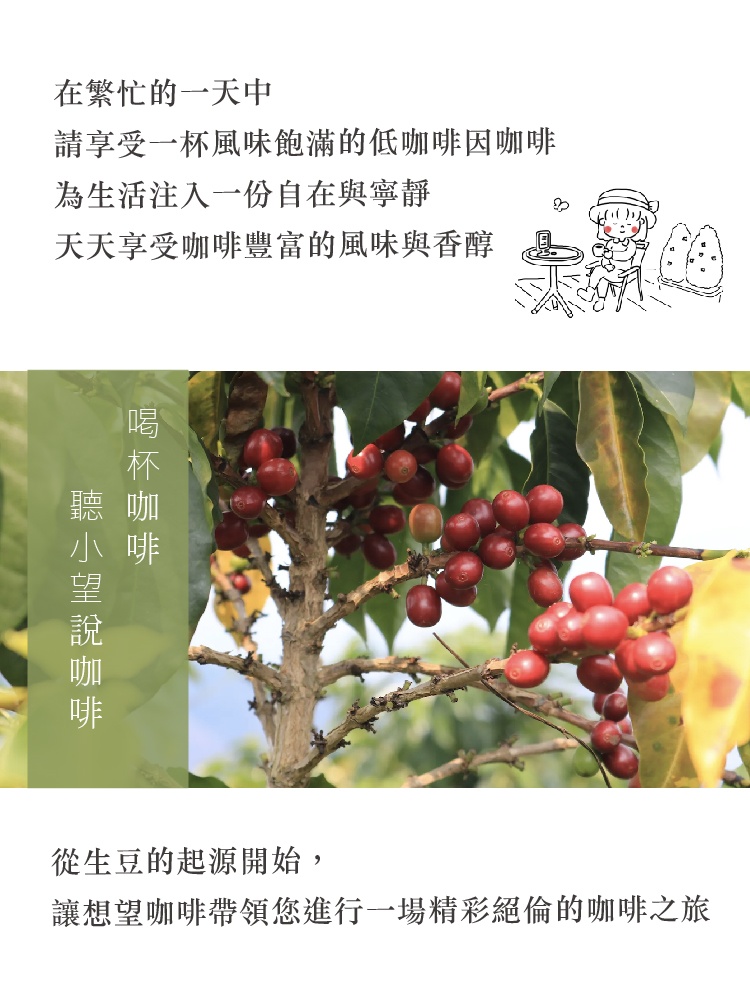 Simple Real 翡翠．低因咖啡浸泡禮盒 中焙 無花果、糖葫蘆、牛奶糖風味 30入